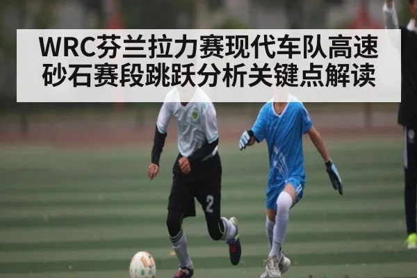 WRC芬兰拉力赛现代车队高速砂石赛段跳跃分析关键点解读