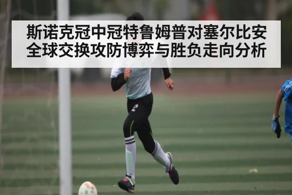斯诺克冠中冠特鲁姆普对塞尔比安全球交换攻防博弈与胜负走向分析